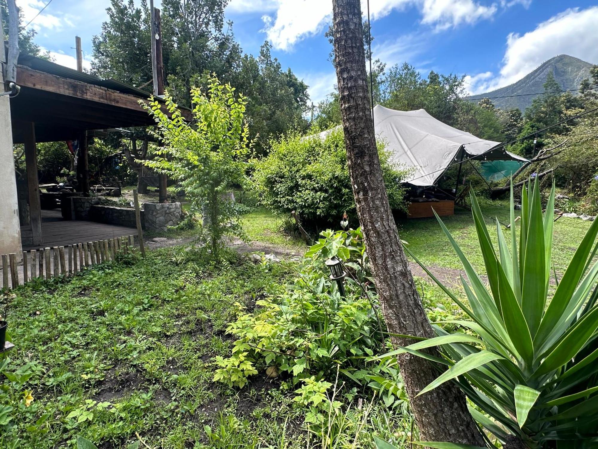Stormsriver Backpackers Dijembe Stormsrivier Eksteriør billede