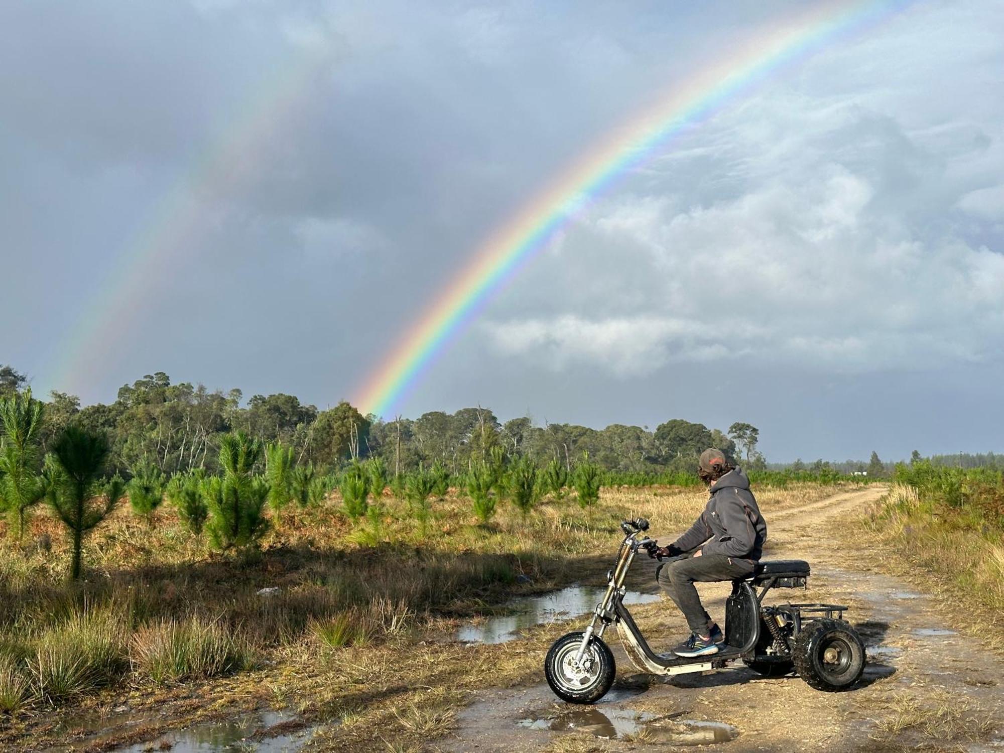Stormsriver Backpackers Dijembe Stormsrivier Eksteriør billede
