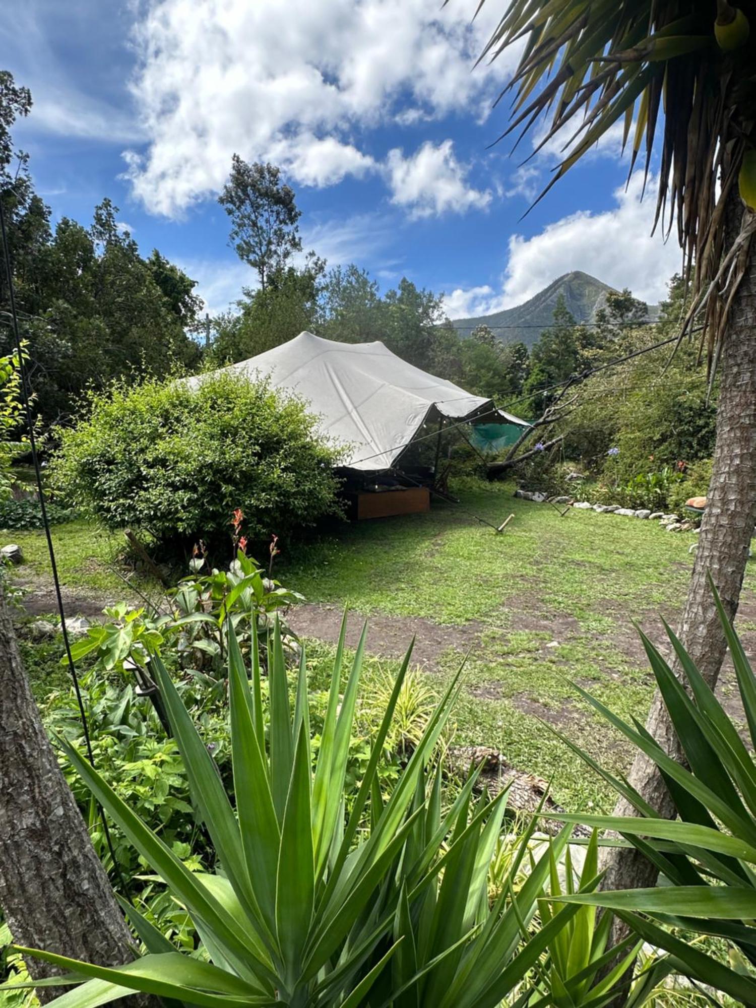 Stormsriver Backpackers Dijembe Stormsrivier Eksteriør billede
