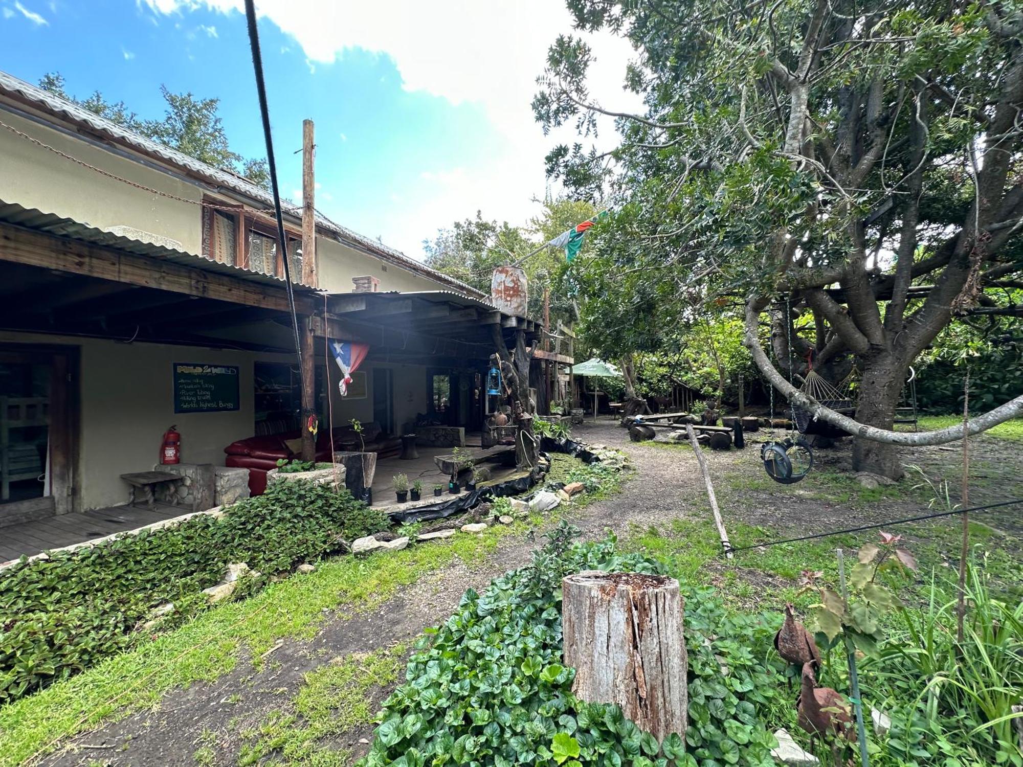 Stormsriver Backpackers Dijembe Stormsrivier Eksteriør billede